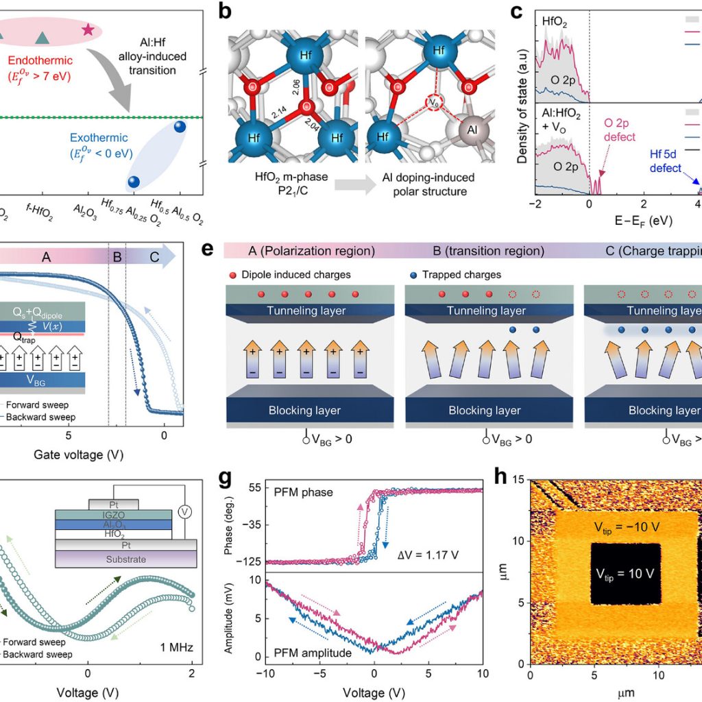 Dynamic Control of Synaptic Plasticity by Competing Ferroelectric and ...